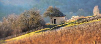 Maison en pierre avec piscine, au cœur des vignes de Nuits Saint Georges