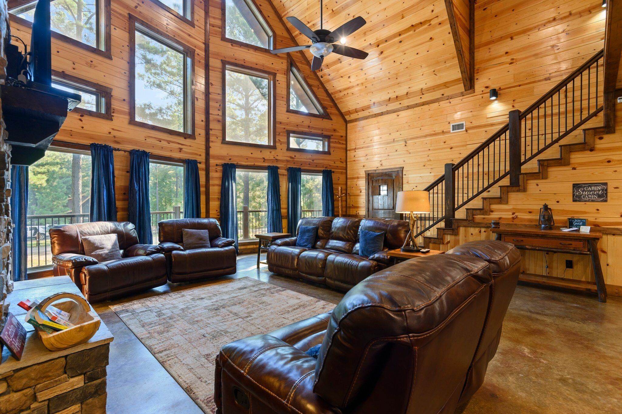 Fireplace, DVD player