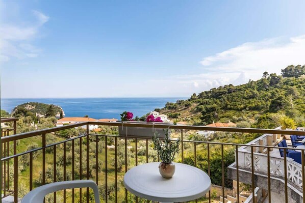 A balcony with a view of the sea, a small table with a potted plant, and outdoor seating.
