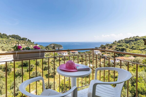 Property grounds - Skopelos Seaview Suite - Persephone Summer Nest (Stafylos)
