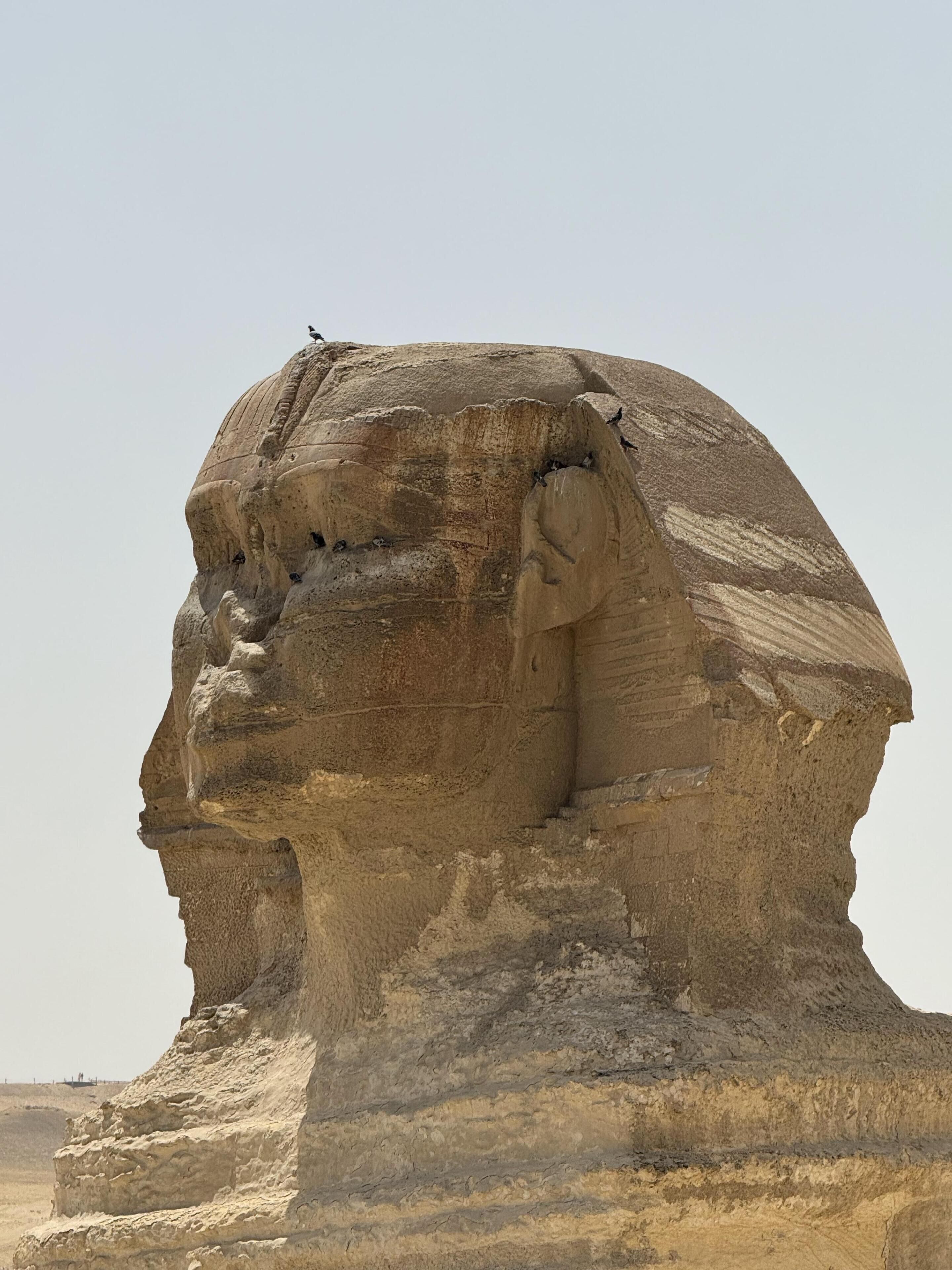مكان جذب سياحي