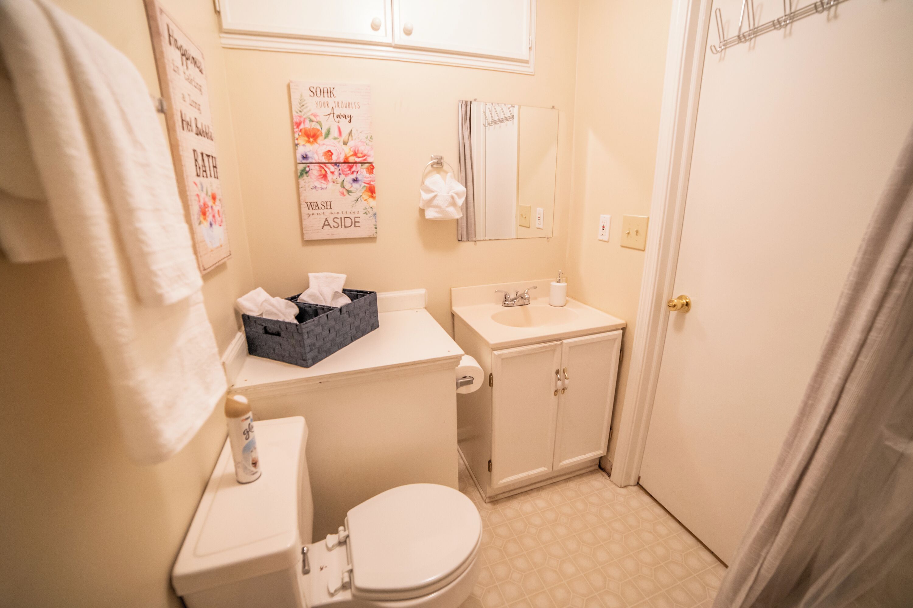 Une petite salle de bain avec des toilettes, un lavabo et un meuble de rangement. Une serviette est accrochée au mur et il y a un rideau de douche.