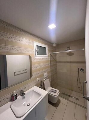 Regadera, secadora de cabello, bidet, toallas