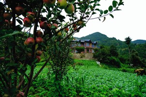 Fachada del alojamiento