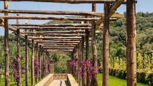 Un chemin de pierres sous une pergola en bois, avec un ciel dégagé et un paysage verdoyant.