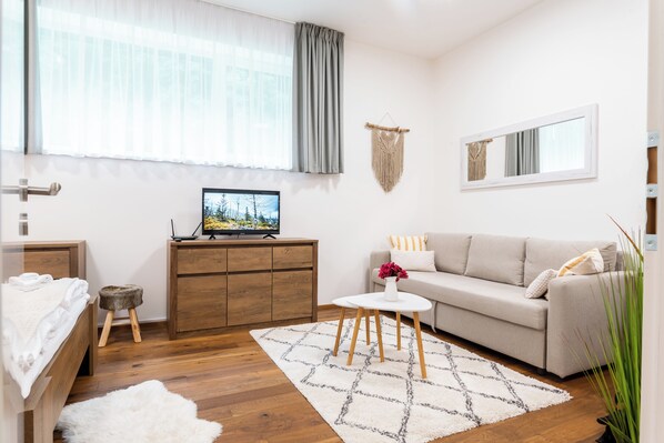 Smart TV, video library - Charming apartment in Krkonoše mountains (Královéhradecký kraj)