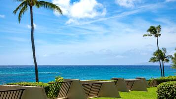 Een resort met uitzicht op de oceaan, palmbomen en ligstoelen.