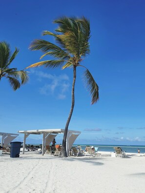 A beach with palm trees, a covered seating area, and a clear blue sky.