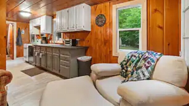 A cozy cabin interior with a living area, a kitchen, and a window with a view of greenery.
