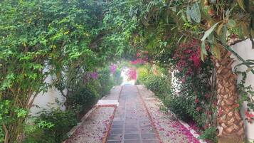 Terrein van de accommodatie