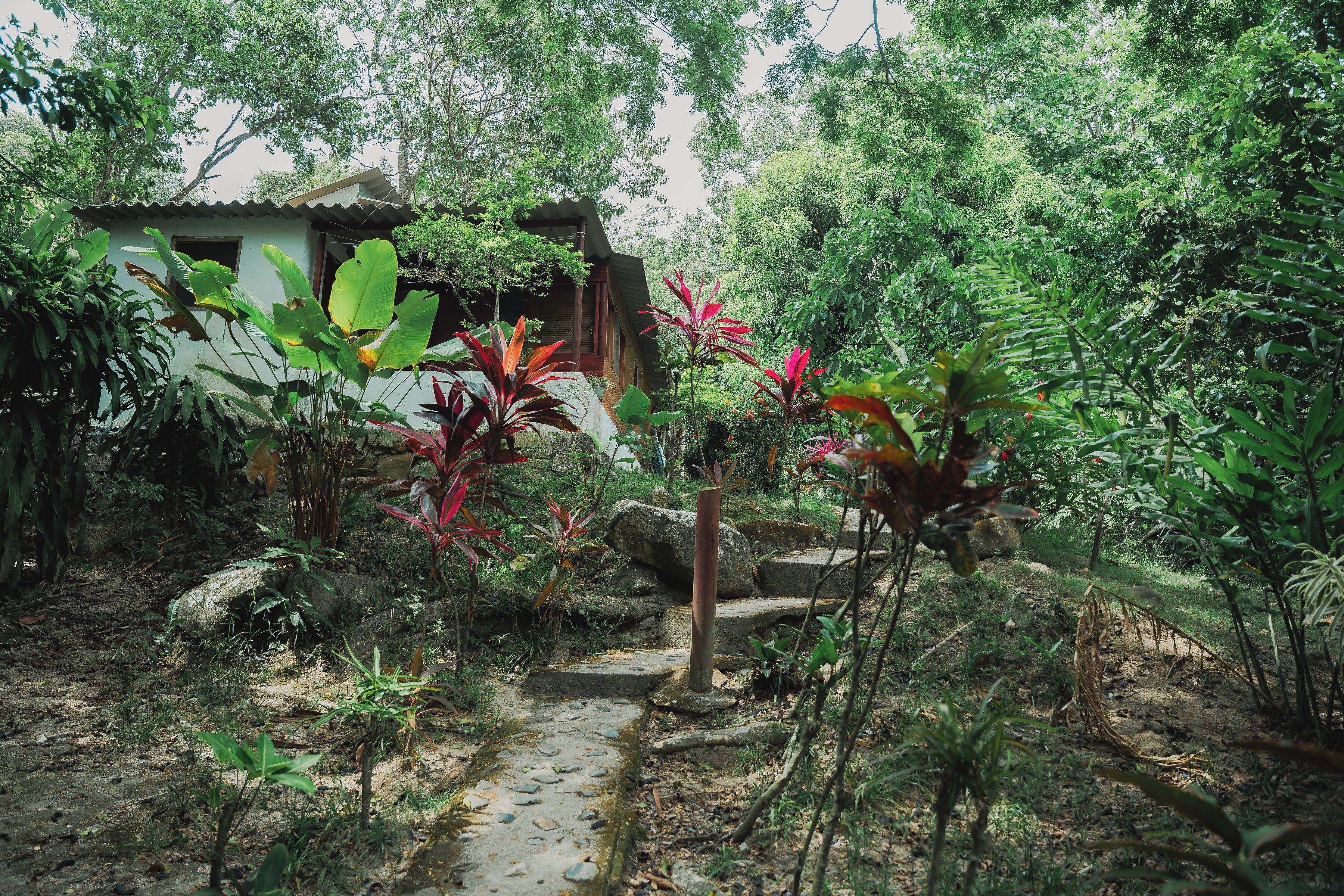 Foto - Manigua Tayrona Hostel
