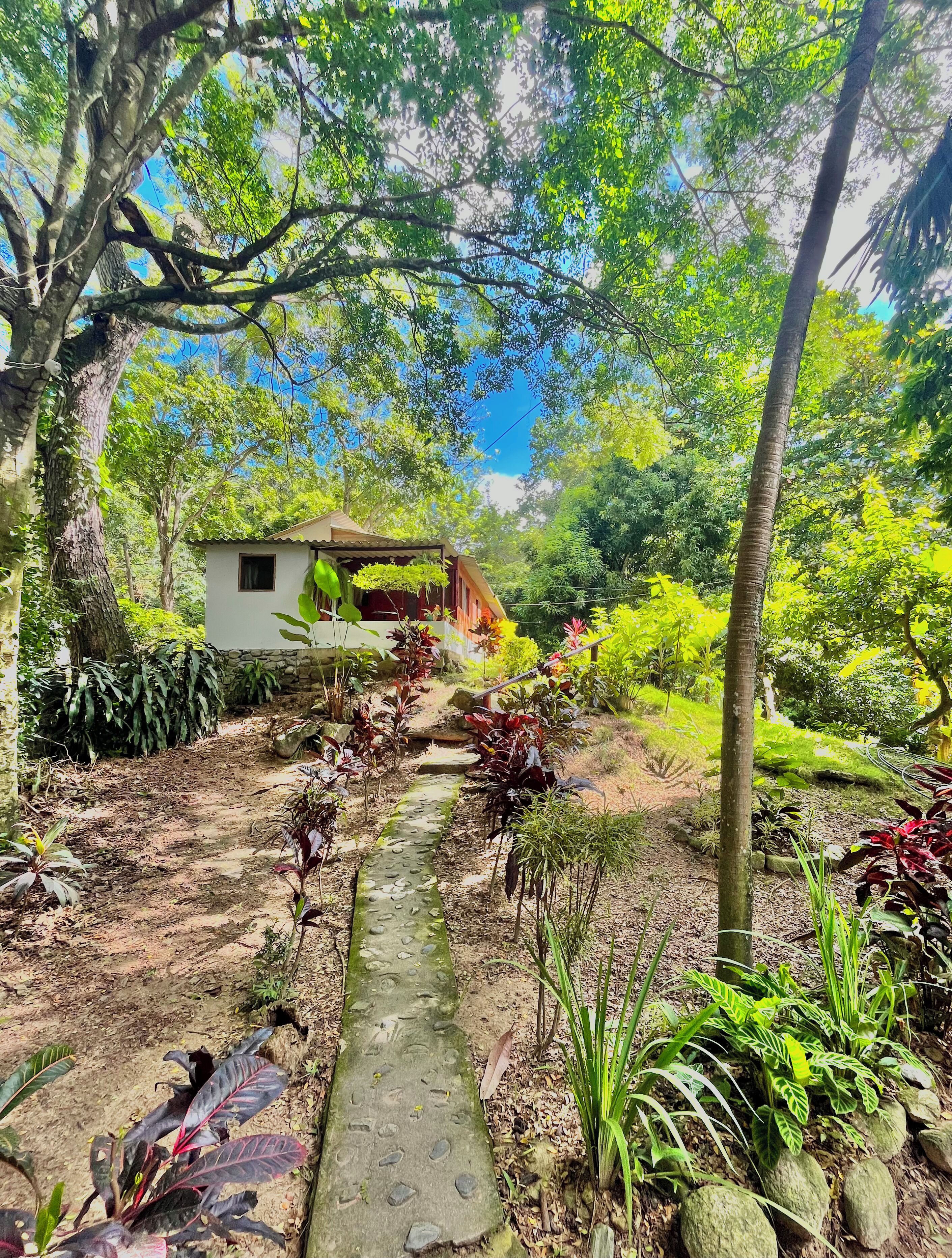Foto - Manigua Tayrona Hostel