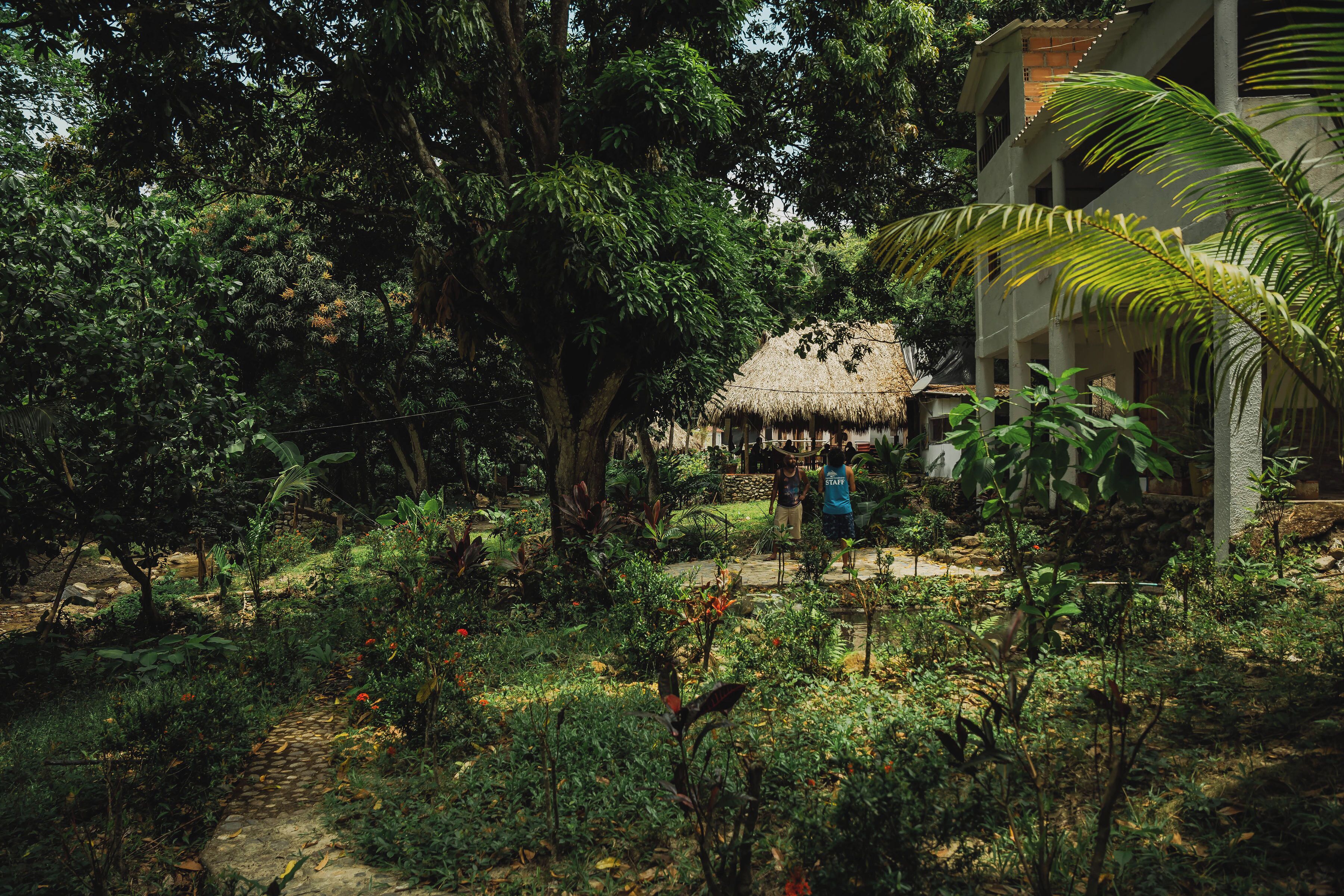 Foto - Manigua Tayrona Hostel