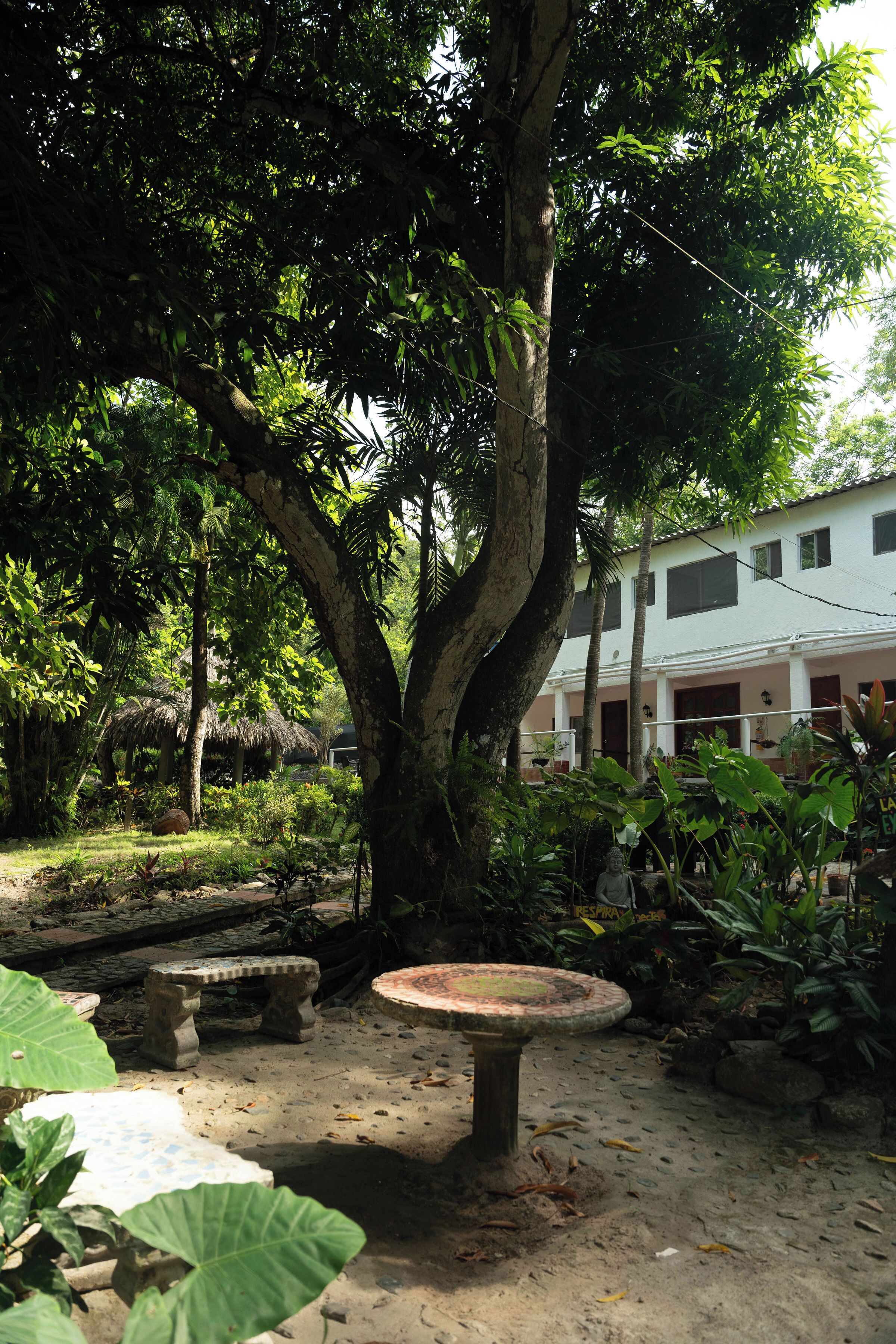 Foto - Manigua Tayrona Hostel