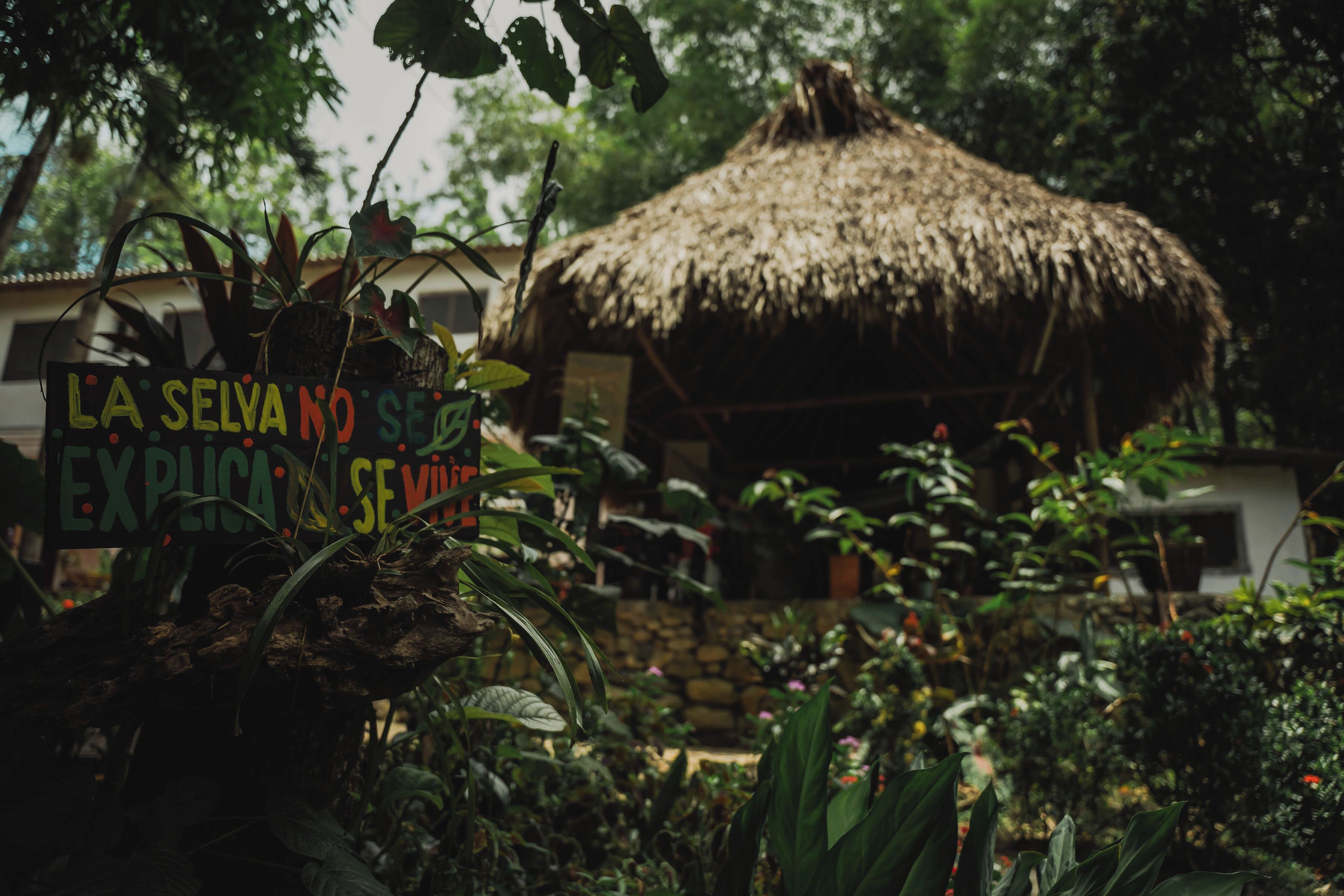 Foto - Manigua Tayrona Hostel