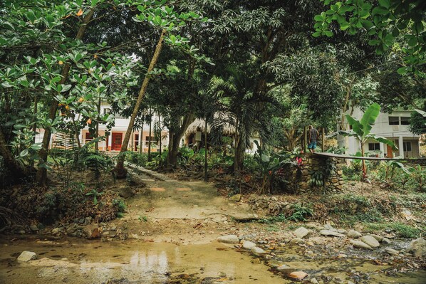 Un entorno natural y rústico con un camino de piedra que atraviesa un exuberante jardín.