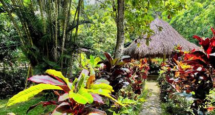 Manigua Tayrona Hostel