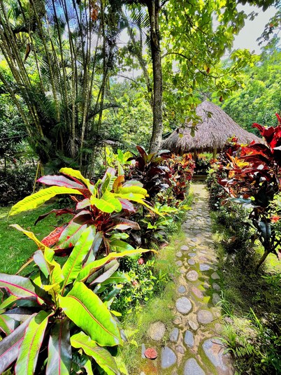 Manigua Tayrona Hostel