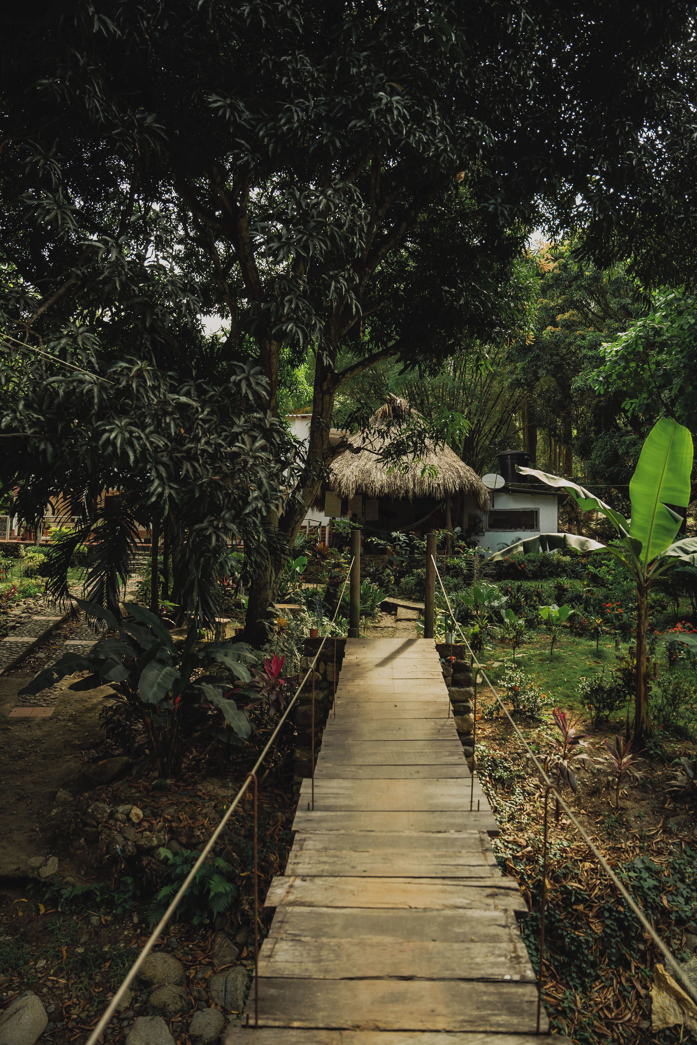 Foto - Manigua Tayrona Hostel