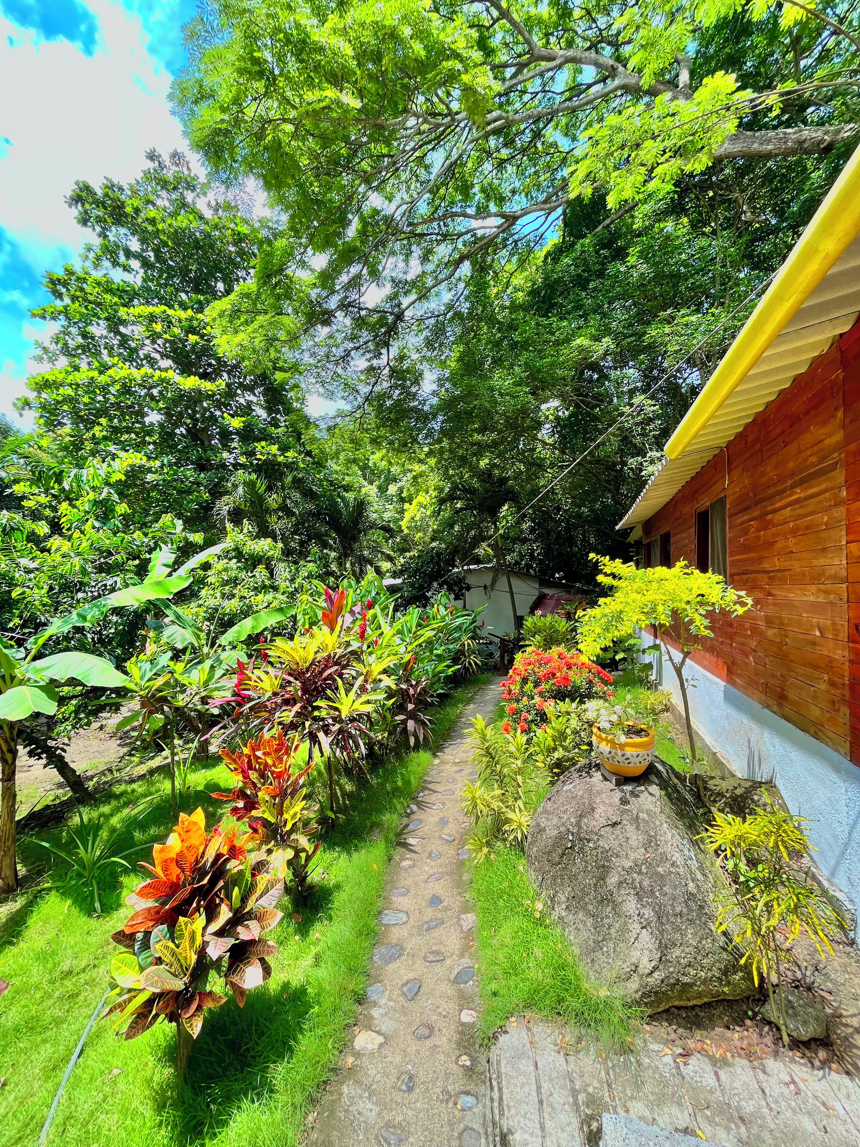 Foto - Manigua Tayrona Hostel