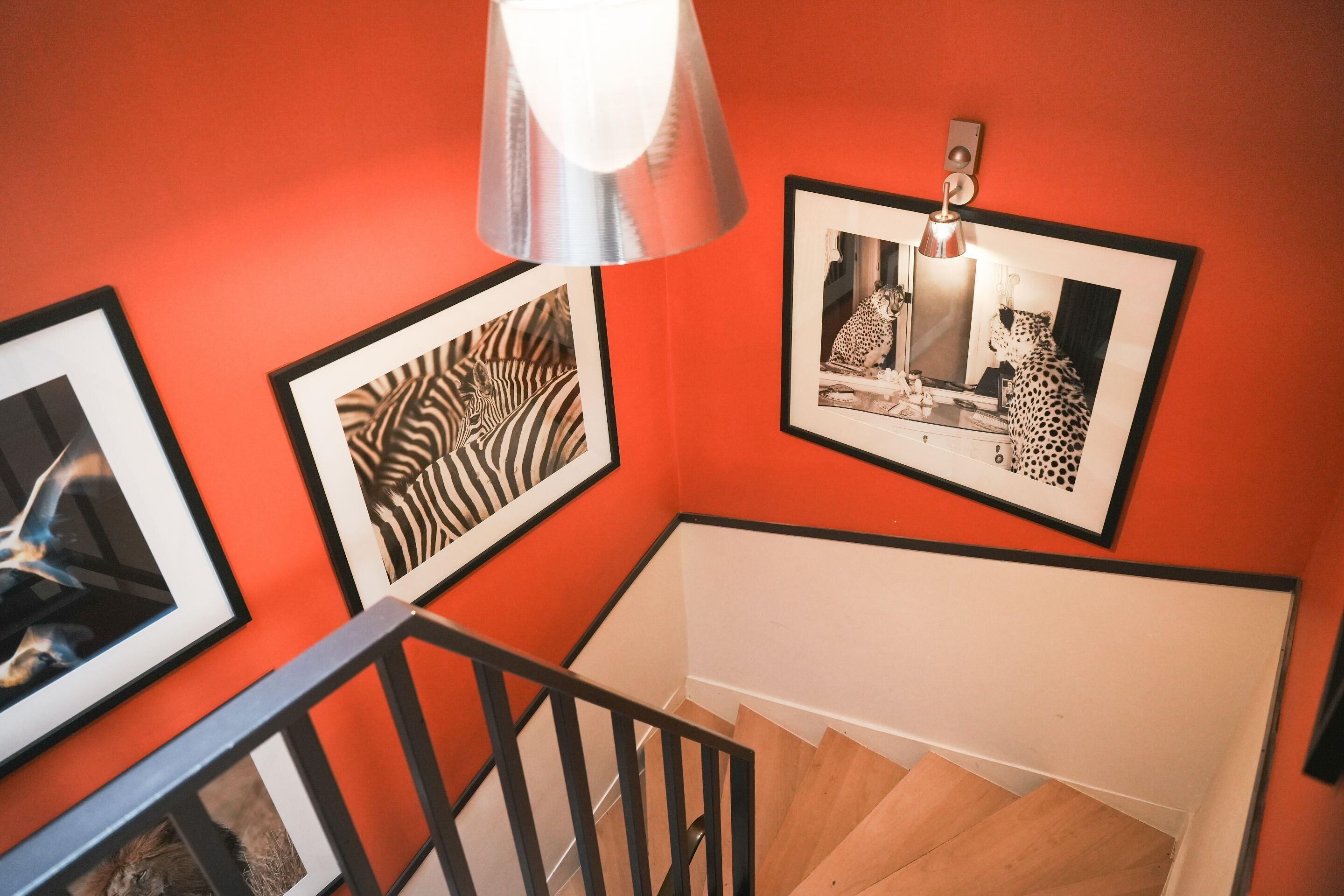 A staircase with a wooden handrail and a red wall with framed animal prints.