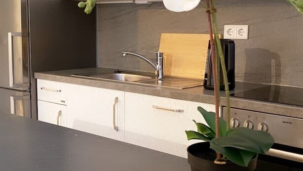 A kitchen with a stainless steel sink, a wooden cutting board, and a potted plant.