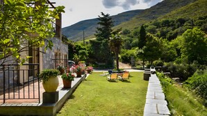 Un patio con un camino de piedra, plantas en macetas y mobiliario exterior.