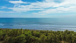A beach with palm trees and the ocean. - La Casa de Papi (Parrita)