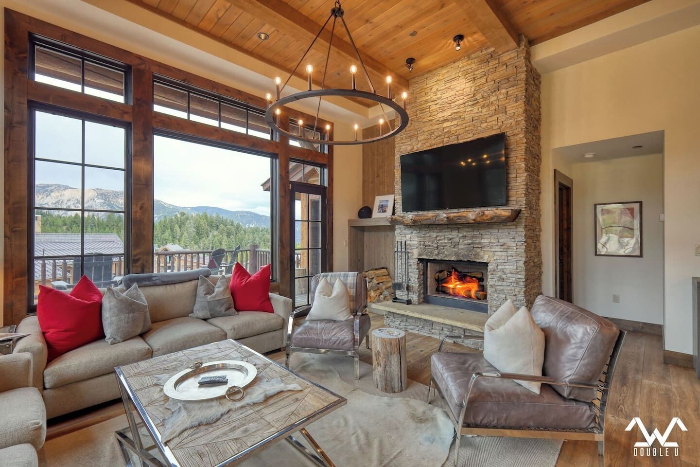 TV, fireplace, books