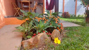 A garden area with plants, rocks, and a concrete path leading to a building entrance. - Chalés Flor de Manacá (Alto Paraíso de Goiás)