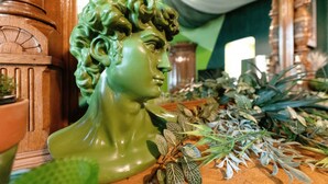 Une sculpture en buste, posée sur une table en bois, entourée de différentes plantes.