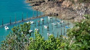 A coastal area with boats anchored near rocky cliffs and vegetation.