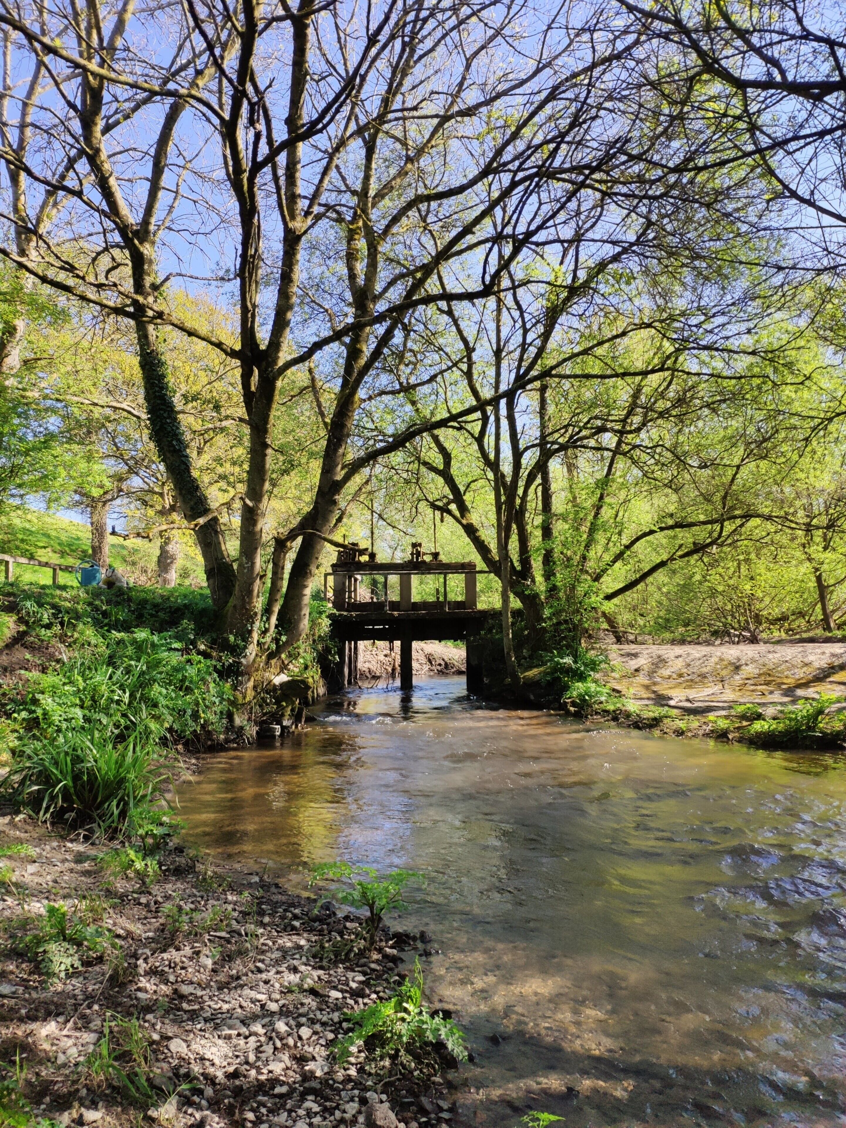 Een brug over een heldere beek, omringd door bomen.
