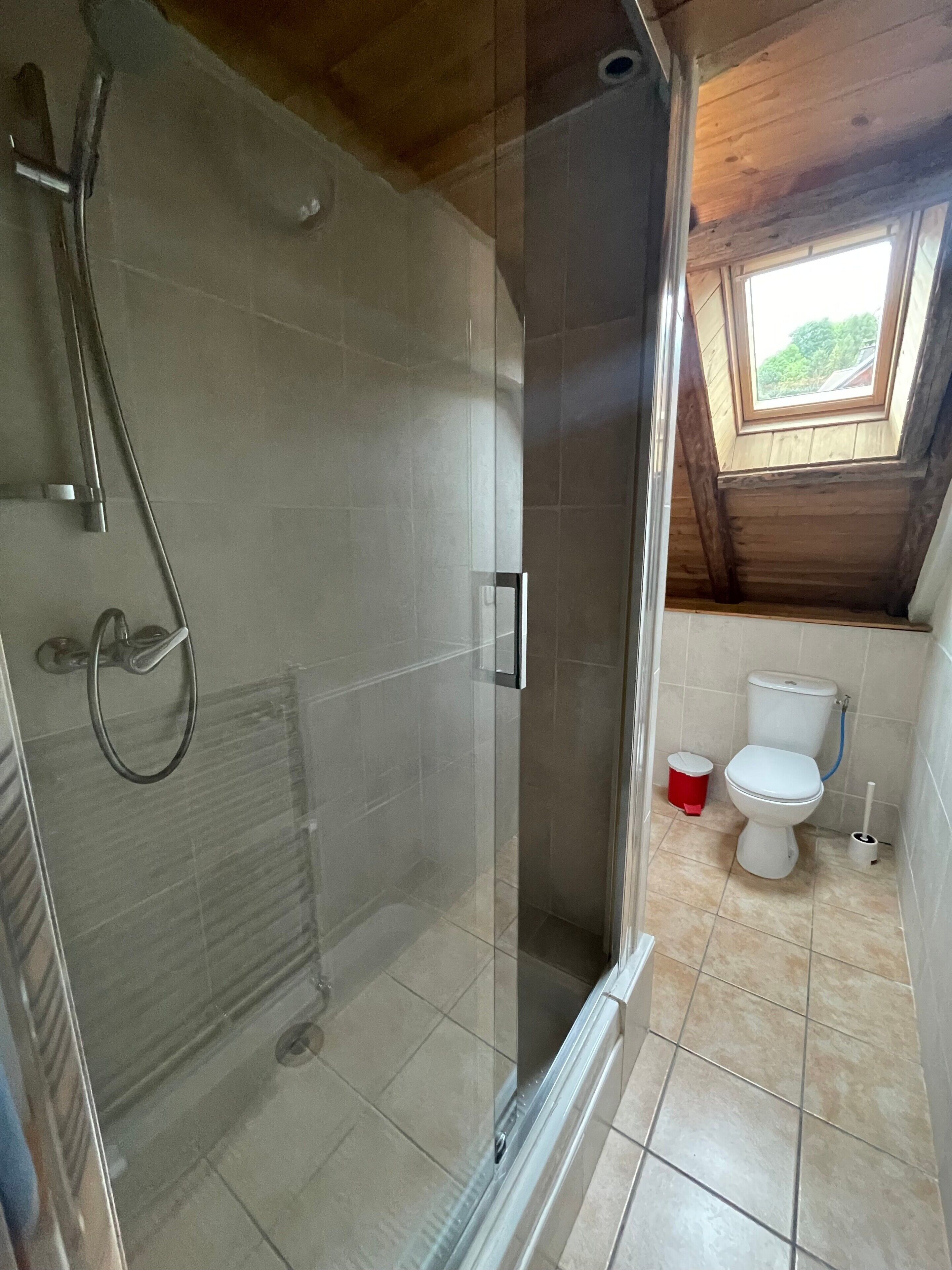 Un baño con ducha de vidrio, tragaluz, inodoro y bidé.