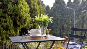 A table with a white teapot and cup, a clear vase with green plants, and a metal chair.