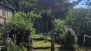 Een grindpad dat door een tuin slingert, met diverse planten en een grote boom.