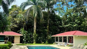 Ein Pool mit Liegestühlen und einer überdachten Liegefläche, umgeben von üppiger Vegetation und hohen Bäumen.