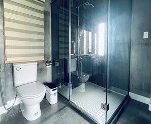 Hair dryer, towels, soap, toilet paper