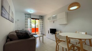 TV, fireplace, books