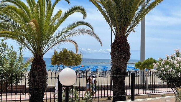 A coastal promenade with palm trees, a white lamp post, and a view of the sea.