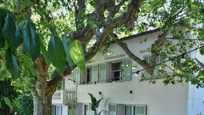 Un edificio de dos pisos con un patio de grava, un árbol grande y una planta en maceta.