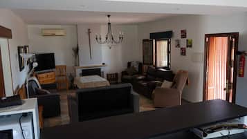 TV, fireplace, video games