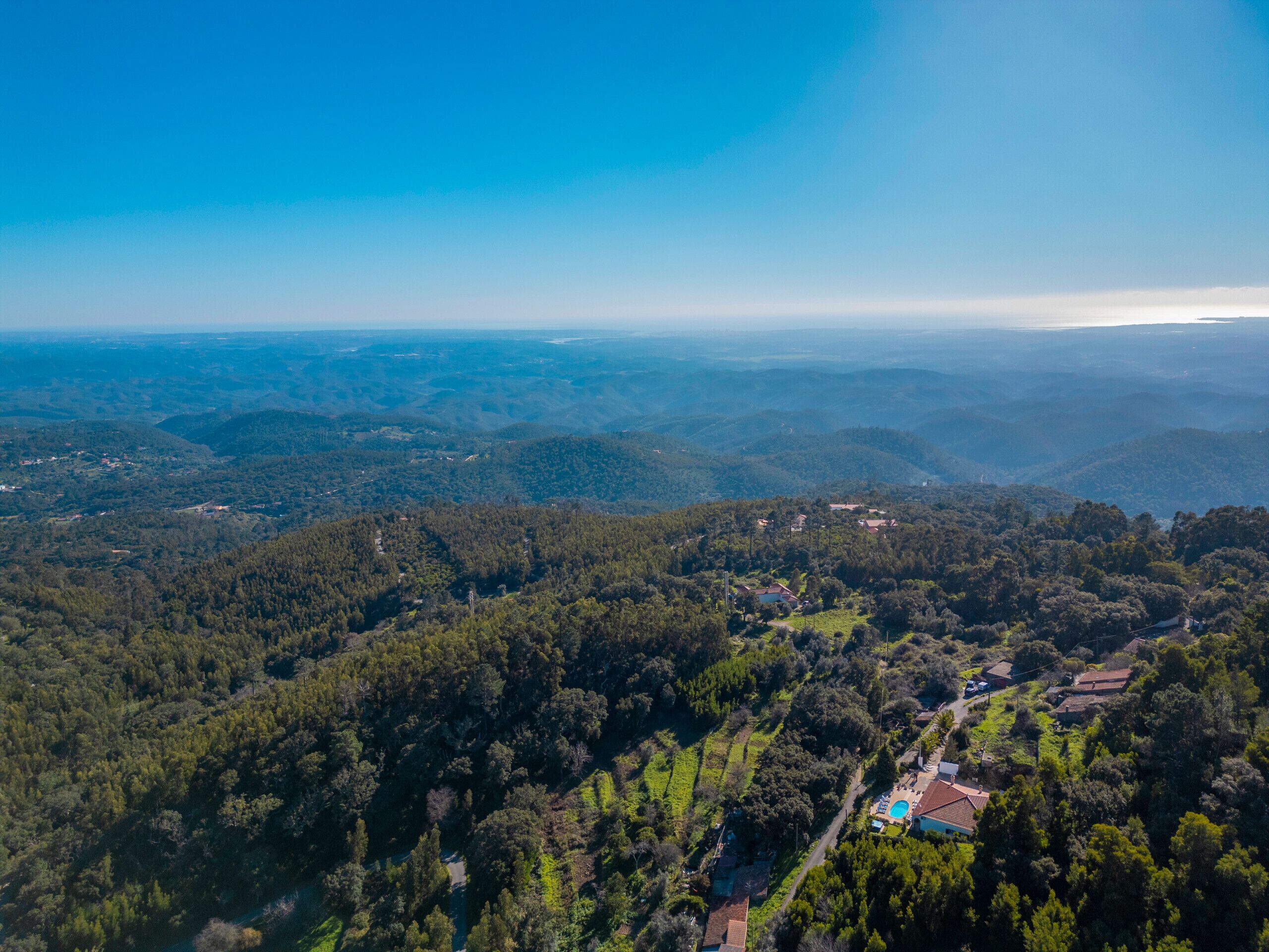 An aerial view of a forested area with scattered buildings, including a house with a visible swimming pool.