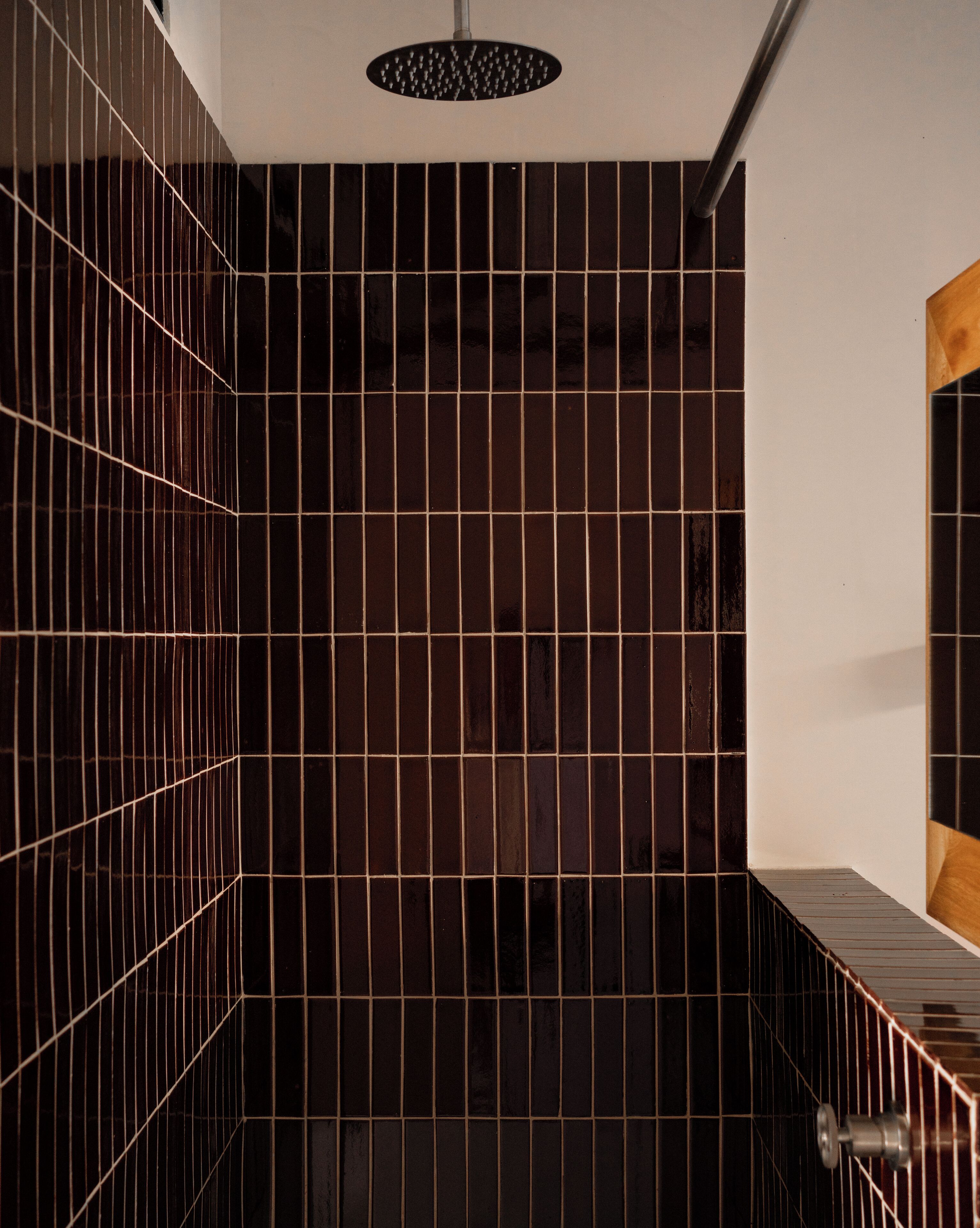 Une salle de bain avec des murs recouverts de carreaux foncés et un espace douche.