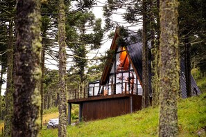 A wooden cabin with a sloped roof, surrounded by tall trees and a grassy area.