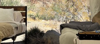 Desert Oasis Grand Suite in Mojave Desert