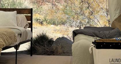 Desert Oasis Grand Suite in Mojave Desert