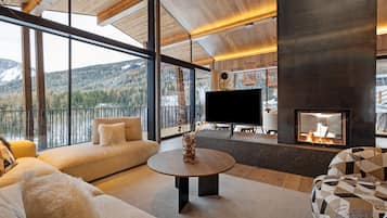 TV, fireplace, video games