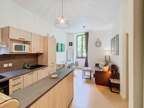 TV - Magnificent 3 stars flat (Aulus-les-Bains)