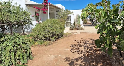 Welcoming 3-bedroom farmhouse in Paros with stunning views